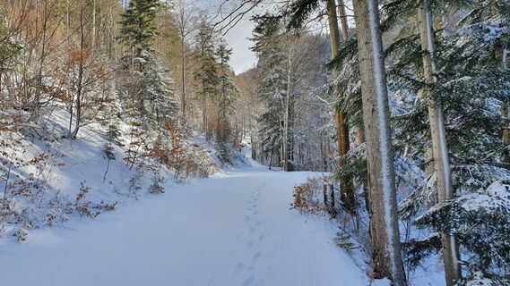 0.8 km Miragraben