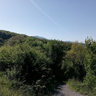 Fotografia z Oskar Birsa na trase