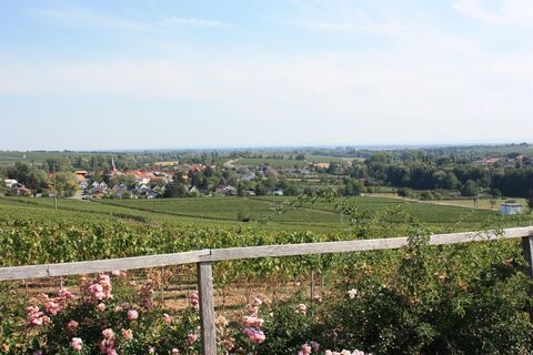 ... und eine tolle Aussicht.
