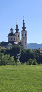 Foto von Mangolein entlang der Tour