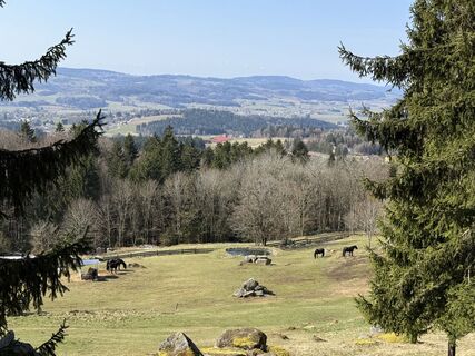 Photo de Natur_erleben_dg le long du parcours