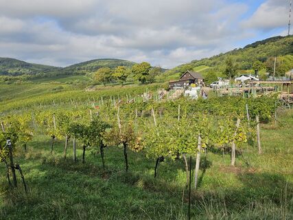 Foto da Harri Meronen lungo il tour