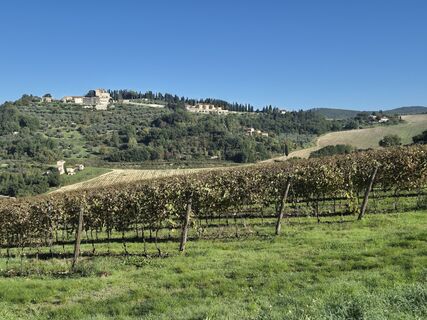 Photo de Thomi W le long du parcours