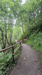 Fotografija s spletne strani Regina Fleischmann na poti