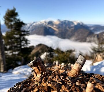 Foto von Natur_erleben_dg entlang der Tour