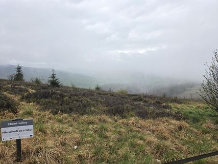 Foto von Piotr Górka entlang der Tour