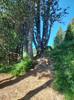 Foto von Hanspeter Schmutz entlang der Tour