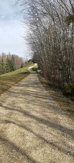 Photo from Paula Sedláček along the tour