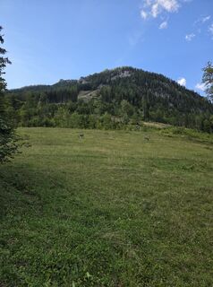 Photo de Christoph Katholnig le long du parcours