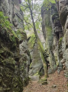 Zdjęcie z Hütterl wzdłuż trasy