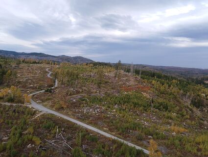 Foto från Der_HeKo under resans gång