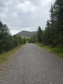 Fotografia z Andreas Kogler na trase