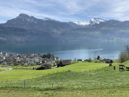 Foto von Roman Mac entlang der Tour