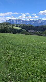 Photo de PerryB le long du parcours