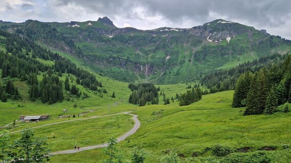 Fotografie z Gerrit van der Linde na trase