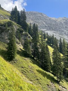 Foto från Karl Heinz Fick under resans gång