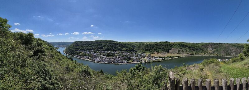 Zdjęcie z Frellie wzdłuż trasy