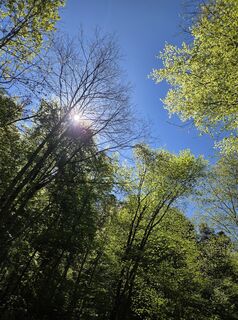 Foto von Nicole Bachmann entlang der Tour