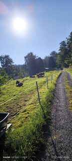 Fotó a Karl-Heinz honlapról a túra során