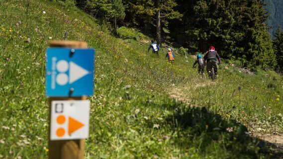Mountainbike-Strecke Evita Carnea