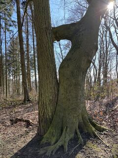 Foto från Georg Barzel under resans gång