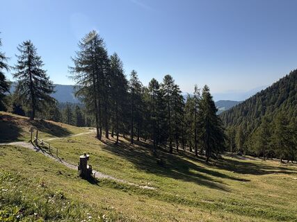 Fotografija s spletne strani Michele Passante na poti