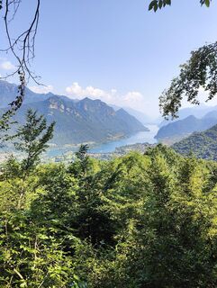 Fotografija s spletne strani Rita Lubbers na poti