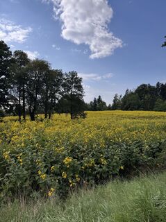 Foto von Denise Miller entlang der Tour