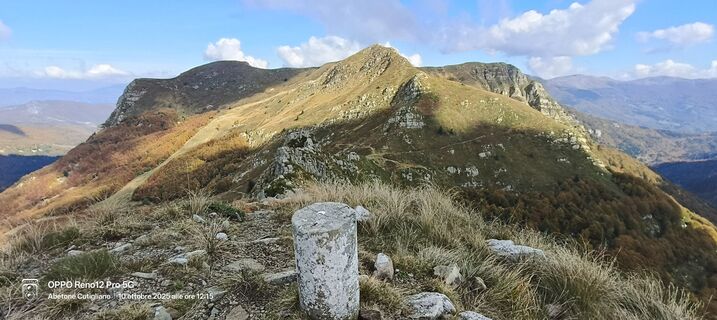 Fotografia z Sherpa 960 na trase