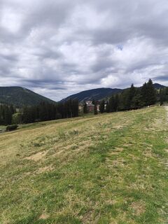 Photo de Helmut A. le long du parcours