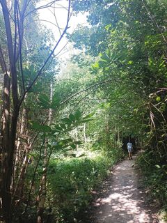 Foto fra Wierd Hagg undervejs på turen