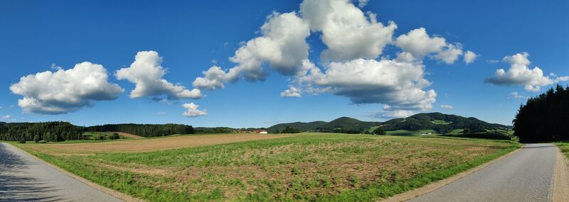 Photo de Karl Wiesinger le long du parcours