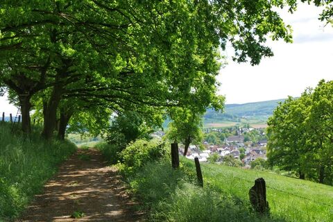 Ausblick auf Brenkhausen