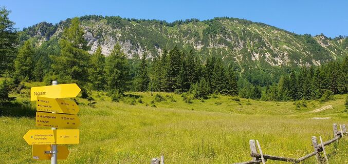 Fotografija s spletne strani mike wm na poti