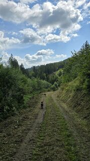 Foto von Astrid L. entlang der Tour