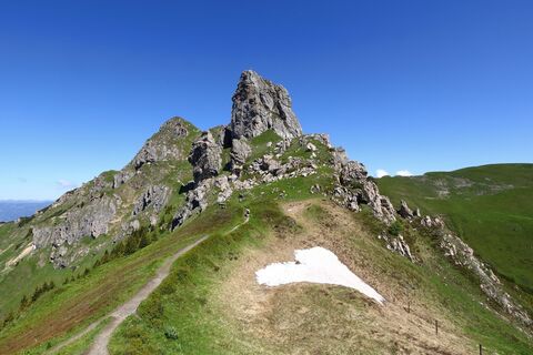 Blick auf den Schuhflicker