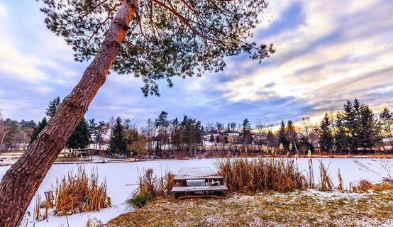 Teichpark Wanderung Lannach