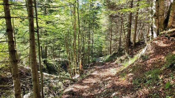 Fotografia z Madeleine Schumacher na trase