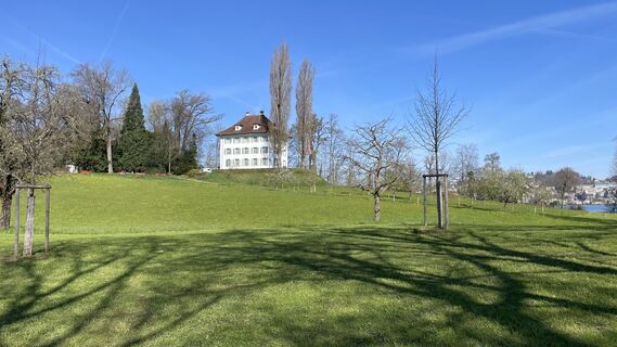 Fotografija s spletne strani Peter Burki na poti
