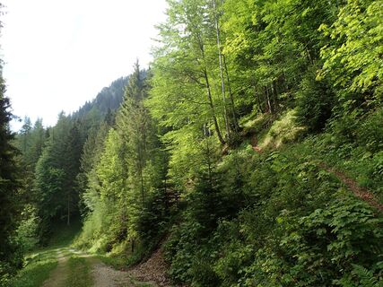 Aufstieg