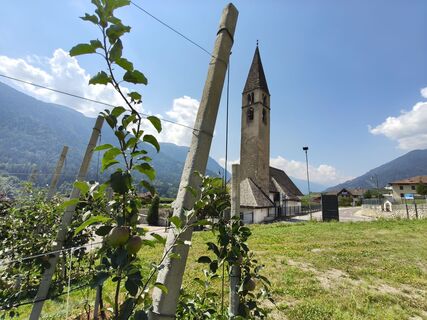 Fotografija s spletne strani David Hincziza na poti