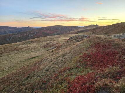 Fotografia z TwilightTea na trase