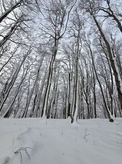 Foto von János Zsolt Mahr entlang der Tour