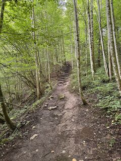 Foto da Babs Holz lungo il tour