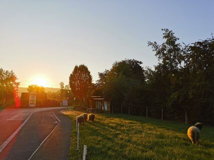 Foto von Wolfgang Hasenhüttl entlang der Tour