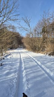 Fotografija s spletne strani Antonietta Havasi na poti