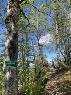 Foto von Michael Kogler entlang der Tour