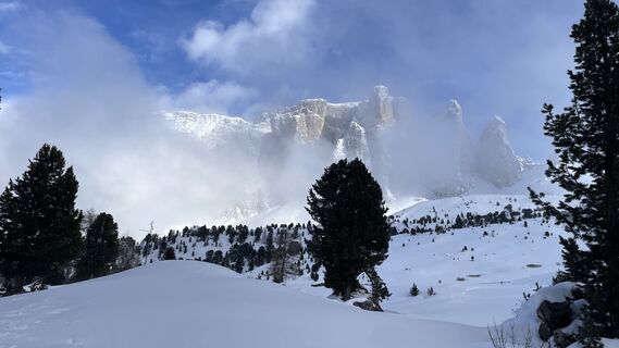 Foto von Mannlo wild entlang der Tour