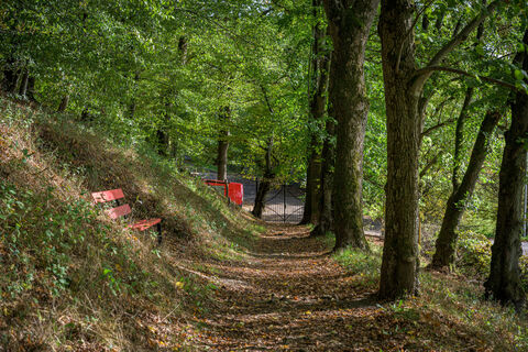 Erlebnisweg Luisenpfad