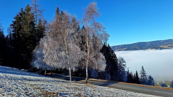 Foto von Susi Puhl entlang der Tour